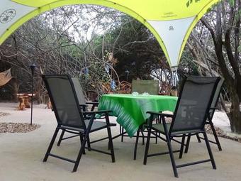 Wild Eco Safari