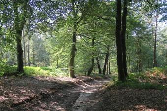 Het Kleine Landgoed