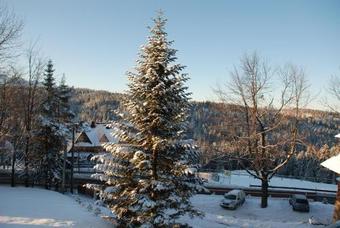 Bed & Breakfast Villa Park