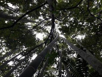 Albergue Monta�a Verde