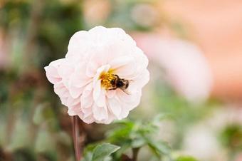 Posada Gasthaus Hummel