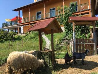 G�stehaus Schmid