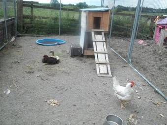 Bed & Breakfast The Curragh Country House Accommodation