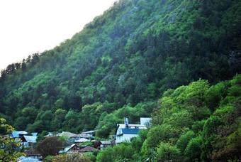 Hotel Old Borjomi