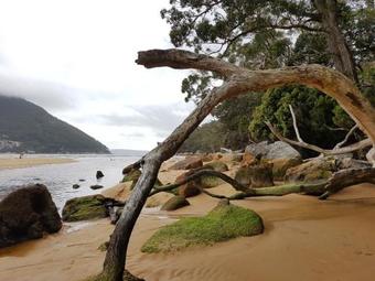 Apartamento Fish Creek Alkira Accommodation