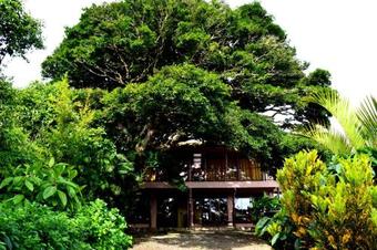 Casa Mariposa Monteverde
