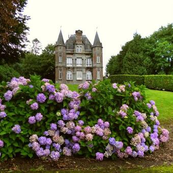 Bed & Breakfast Maison Voie Verte