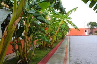 Hotel Real De Cortes