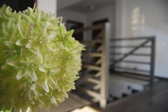 Hostal Villa Veell