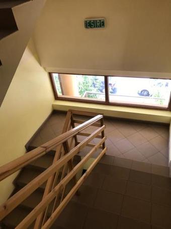 Hostal Pinul Negru