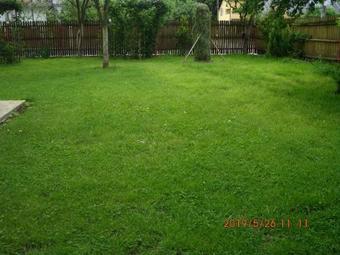 Vila Mihaela