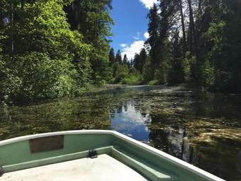 Hotel Palace Yelizavetino