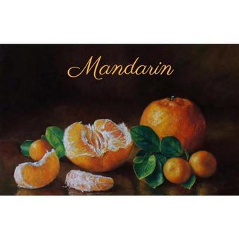 Hostal Mandarin