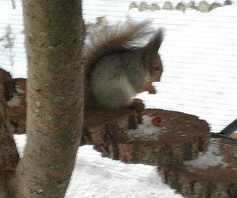 Hotel Night In Magic Villins Book