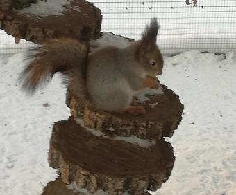 Agroturismo Night In Upsidedown House