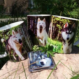 Husky House