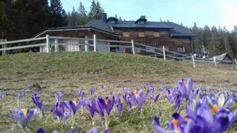 Mountain Lodge Smrekovc