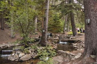 Aspen Ridge Cabin