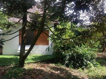 Albergue The Platoon