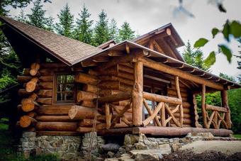 Forest House Exclusive