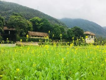 Mai Chau Villas