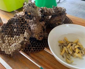 Happy Greenfield