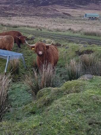 Trotternish B&B
