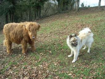 Bed & Breakfast Gourmet de Nature