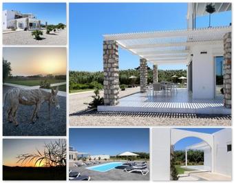 B&B Maliva