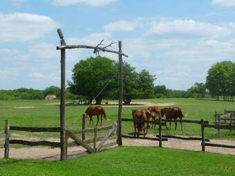 Walter Ranch