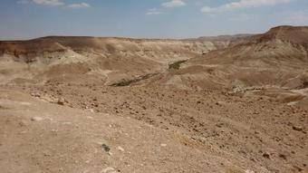 Lodge Shoshanat Hamidbar