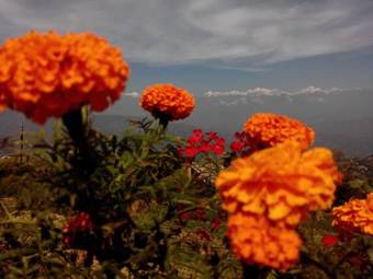 Hostal Himalayan Sunrise Guest House