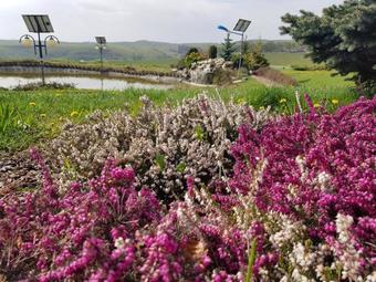 Sat De Vacanta Ciprian Porumbescu