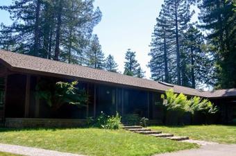 Forest Ridge