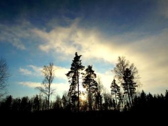 Bed & Breakfast De Vrolijcke Bosmuis