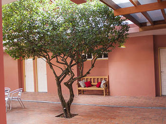 Hotel A�oriano