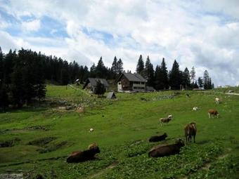 Hostal Guest House 902 ?rnivec