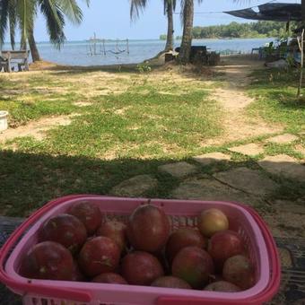 Hostal Luna Beach