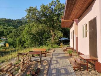 Hostal Guest House Green Zone