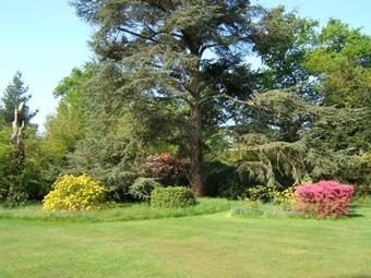 Bed & Breakfast Hollybank House