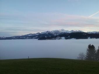 Hotel Garni Traube