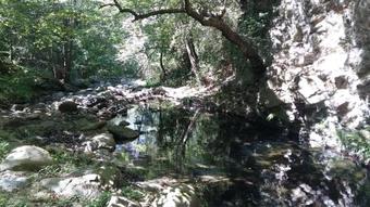 Camping Maureillas