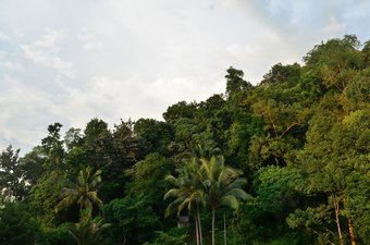 Ver fotos