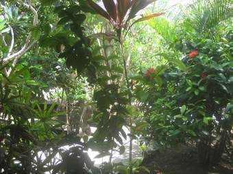 Hotel Rumah Purnama