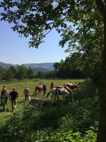 Agroturismo Agriturismo Il Tratturo