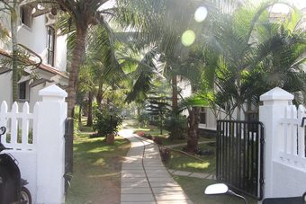 Ver fotos