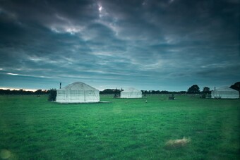Lincoln Yurts