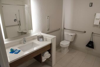 Hotel Holiday Inn Express & Suites Mishawaka - South Bend