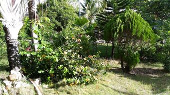 Hotel Jomajean Garden