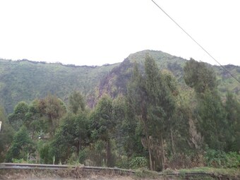 Ver fotos